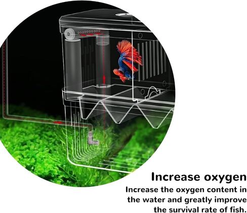Mipukbay Large Aquarium Isolation Breeding Box, Acrylic Transparent Aquarium Breeder Box for Fish Fry Hatching, Shrimp Breeding, Betta, Guppy, Killifish, Clownfish, Suitable for 5-40 Gallon Tanks in Kuwait