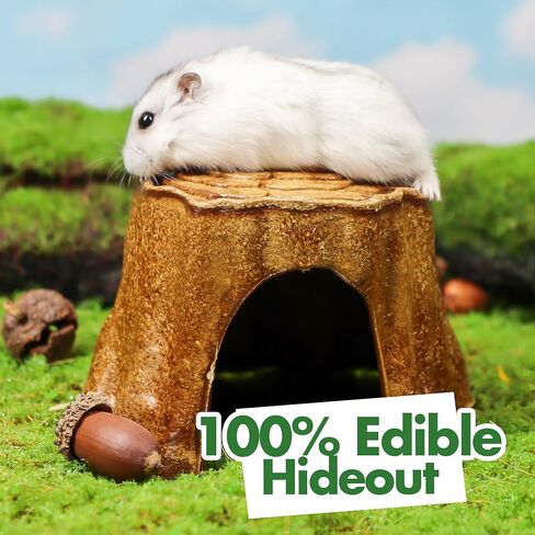 Garden Harvest Basket Edible Small Animal Chew Toy Set for Hamster Guinea Pig Gerbil Chinchilla Degu Rat Rabbit Food Bowl Teeth Chew Habitat Enrichment in Saudi Arabia