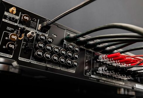 قبعات سدادة الضوضاء AudioQuest RCA - مجموعة من 10 قطع (فضي) in Saudi Arabia