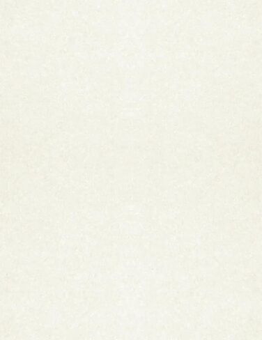 LUXPaper 11" x 17" Cardstock | Tabloid Size | Jupiter Metallic | 105lb. Cover | 50 Qty in Saudi Arabia