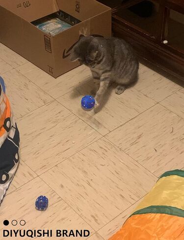 Cat Toys 16 PCS Set with Wind Up Chicken and Bell Balls for Indoor Cats and Kittens, Fun Kitten Kitty Toy Pack Including Interactive and Colorful Play Balls in Saudi Arabia