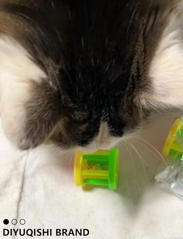 Cat Toys 16 PCS Set with Wind Up Chicken and Bell Balls for Indoor Cats and Kittens, Fun Kitten Kitty Toy Pack Including Interactive and Colorful Play Balls in Saudi Arabia