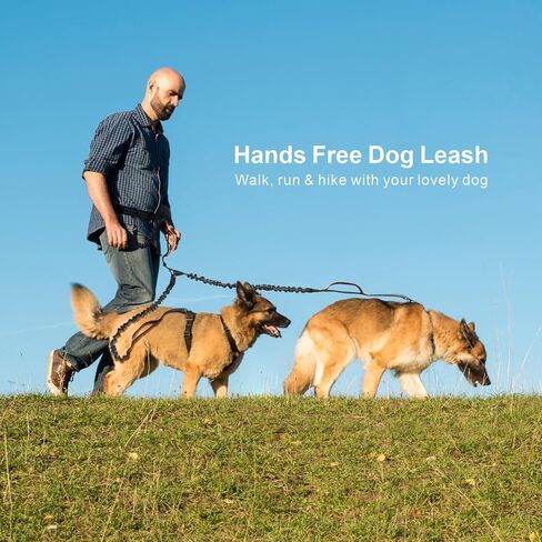 Hands Free Dog Leash for 2 Dogs, Waist Leash with Double Bungees Shock Absorbing, Dog Leash Waist Belt Adjustable with 3 Padded Handles for Walking Jogging Hiking, Reflective Knitted, Black in Saudi Arabia