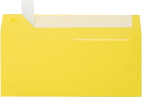 LUXPaper Double Window Invoice Envelopes | Peel & Press | 4 1/8" x 9 1/8" | Ruby Red | 80lb. Text | 50 Qty in Saudi Arabia