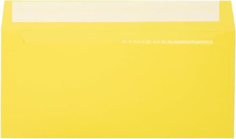 LUXPaper Double Window Invoice Envelopes | Peel & Press | 4 1/8" x 9 1/8" | Ruby Red | 80lb. Text | 50 Qty in Saudi Arabia