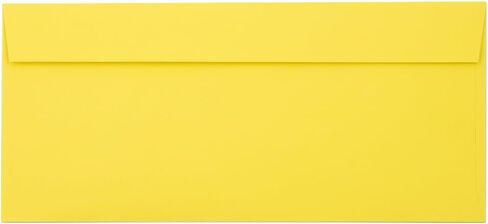 LUXPaper Double Window Invoice Envelopes | Peel & Press | 4 1/8" x 9 1/8" | Ruby Red | 80lb. Text | 50 Qty in Saudi Arabia