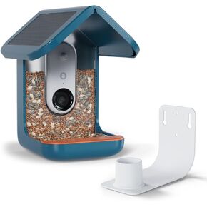 Bird Buddy Pro Solar Smart Feeder + Wall Mount Bundle - Smart Bird Feeder مع الكاميرا ومعرف الطيور AI ، 2K HD Video