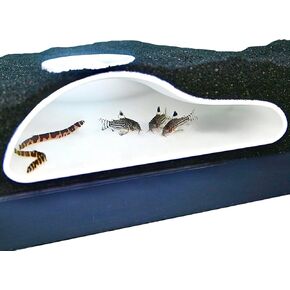 Aquarium Underground Tunnel Cave Natural Curve | Viewing Fish & Shrimp Under Gravel Tunnel | Fish Tank Decor Decoration Hideout Perfect for Corydora Catfish, Kuhli Loach, Clown Loach, Pleco