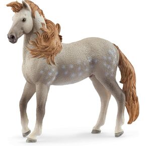 Schleich Horse Club - Andalusian Stallion - 5" Hand-Painted Collectable, Realistic Toy Horse Figurine for Girls and Boys. Durable Educational Figure for Fun Imaginative Play. Kids Toys Ages 5+ 14894