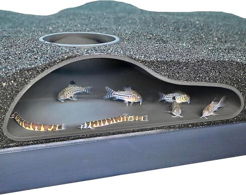Aquarium Underground Tunnel Cave Natural Curve | Viewing Fish & Shrimp Under Gravel Tunnel | Fish Tank Decor Decoration Hideout Perfect for Corydora Catfish, Kuhli Loach, Clown Loach, Pleco in Kuwait