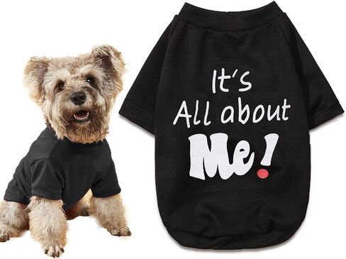 DroolingDog Summer Dog Tee Shirt - Funny T Shirt for Small Dogs & Puppies, Large, Black in Saudi Arabia