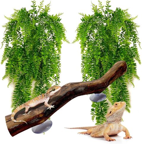 kathson Reptile Corner Branch Climbing Bamboo & Hanging Fake Plants,1 Reptile Branches & 2 Terrarium Plant, Bearded Dragons Tank Decor for Amphibians, Lizards, Geckos, Snakes, Hermit Crab, Frogs in Kuwait