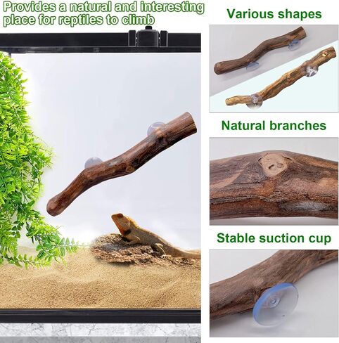 kathson Reptile Corner Branch Climbing Bamboo & Hanging Fake Plants,1 Reptile Branches & 2 Terrarium Plant, Bearded Dragons Tank Decor for Amphibians, Lizards, Geckos, Snakes, Hermit Crab, Frogs in Kuwait