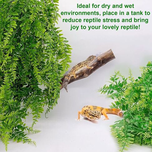 kathson Reptile Corner Branch Climbing Bamboo & Hanging Fake Plants,1 Reptile Branches & 2 Terrarium Plant, Bearded Dragons Tank Decor for Amphibians, Lizards, Geckos, Snakes, Hermit Crab, Frogs in Kuwait