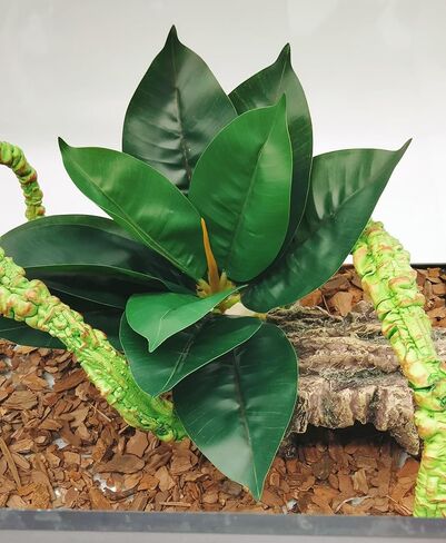 Reptile Plants Terrarium Reptile Tank Decorations for Bearded Dragon Lizard Snake Geckos Chameleon Amphibian Habitat Terrarium Decor (Green+White) in Kuwait