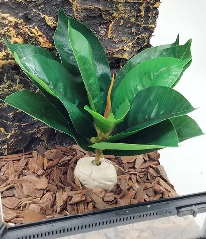 Reptile Plants Terrarium Reptile Tank Decorations for Bearded Dragon Lizard Snake Geckos Chameleon Amphibian Habitat Terrarium Decor (Green+White) in Kuwait