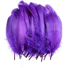 100pcs ديكور ريش الأوز الطبيعي - ريشة ملونة 6-8 بوصة لمهرجان DIY Crafts Erikord (الوردي الفاتح）