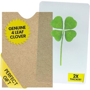 Real Genuine Four-Leaf Clover Bookmark Card Lucky Charm- A Laminated Pressed Leaves Good Luck Charm Symbolizing Hope, Faith, Love & Luck - Durable, Waterproof Irish Gift, St. Patrick’s Day Gift