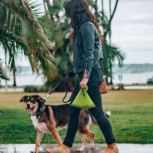 Certified Compostable Dog Poop Bags, 270 Count Landfill Friendly and Leakproof Waste Bags, Easy Open Unscented Forest Green Poop Bag for Dog, 15 Doggy Bags Per Roll (18 rolls) in Kuwait