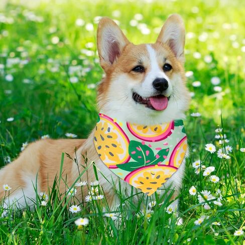 Sanwuta 72 PCS Dog Bandana Bulk Bulk Puppy Triangle Divings Cat Bandanas قابلة للتعديل لينة لطيفة المثلثات المثلثات المثلثات المثلثات للكلاب الصغيرة المتوسطة للحيوانات الأليفة (نمط الشريط) in Kuwait