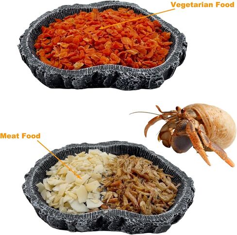 2 Pack Small Reptile Food Bowls, Reptile Feeding Terrarium Bowls for Bearded Dragon Lizard Frog Gecko Tortoise Hermit Crab Snail (Brown B) in Saudi Arabia