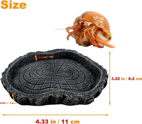 2 Pack Small Reptile Food Bowls, Reptile Feeding Terrarium Bowls for Bearded Dragon Lizard Frog Gecko Tortoise Hermit Crab Snail (Brown B) in Saudi Arabia