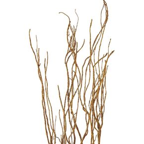 Green Floral Crafts | 12 Stem Dried Curly Willow Branches 3-4 Feet Tall - Perfect Home Decoration and Floor Vase Filler (White/Beige)