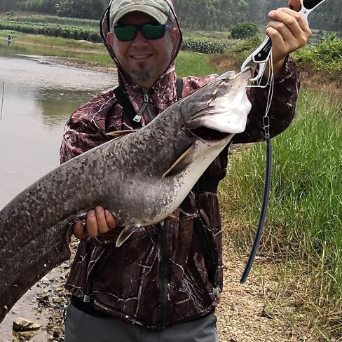 Dr.Fish 6 Pack Dragging Weights for Catfishing Trolling, Drifting Dragging Sinkers Bottom Search Lead Stick Weights Catfish Fishing Trolling Weights 1oz 2oz 3oz 4oz in Kuwait