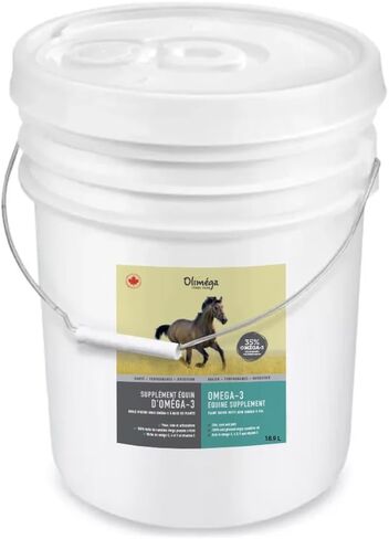 زيت Camelina للخيول ، 18.9L بواسطة Olimega Farm | عالية في أوميغا 3 وفيتامين E | دعم المفاصل الصحية والمعطف والجلد | نقي وبارد مضغوط | ملحق المفصل | غير المعدلة وراثيا in Kuwait