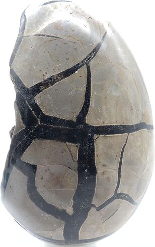 Natural Dragon Septarian Geode Egg Quartz Crystal Egg Crystal Geode Reiki Healing Home Decor DMDRA1 (1.54lb to 1.98lb) in Saudi Arabia