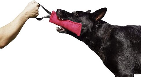 Dingo Gear French Linen tug Toy for Dog, Dog Bumper for Training, Agility, tug of war, Dog bite Pillow for Strong Dog, 1handle 4" Blue S00088 in Saudi Arabia
