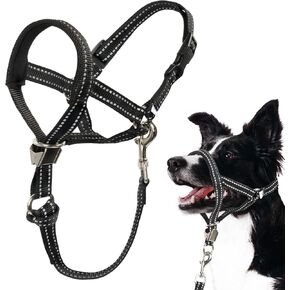 طوق الرأس اللطيف و S Black No Pull Muzzle Bundle للكلاب الصغيرة ، أدوات تدريب فعالة على الكلاب لمنع السحب والاختناق على المشي