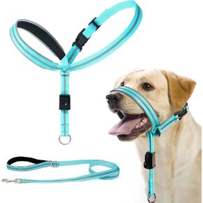طوق الرأس الناعم الأسود M و Turquoise M لا حزمة HALTER HALD للكلاب ، مقود كمامة قابل للتعديل للمشي اللطيف ، لا يسحب الكلب تسخير مع مقود التدريب