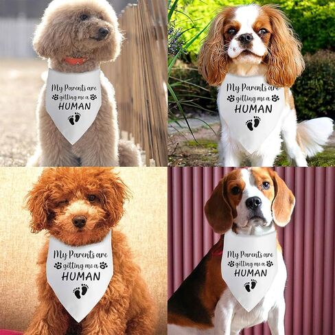 My Parents are Getting Me a Human Pregnancy Announcement Dog Bandana Dog Baby Announcement Gender Reveal Announcement Photo Puppy Bandana for Small Medium Cat Dogs in Saudi Arabia
