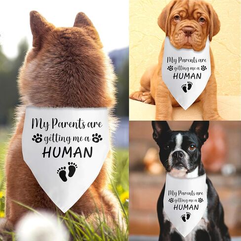 My Parents are Getting Me a Human Pregnancy Announcement Dog Bandana Dog Baby Announcement Gender Reveal Announcement Photo Puppy Bandana for Small Medium Cat Dogs in Saudi Arabia