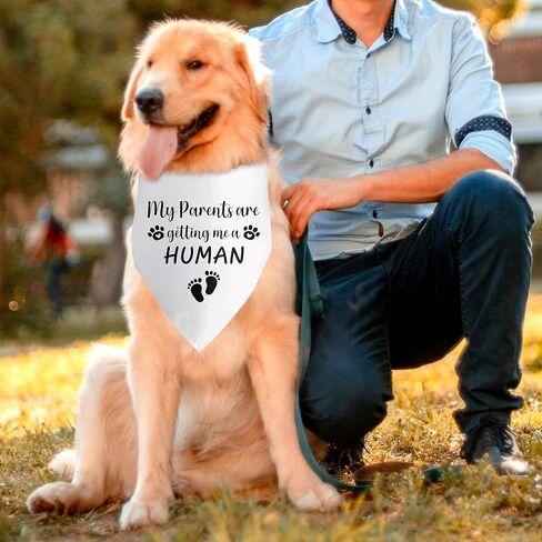 My Parents are Getting Me a Human Pregnancy Announcement Dog Bandana Dog Baby Announcement Gender Reveal Announcement Photo Puppy Bandana for Small Medium Cat Dogs in Saudi Arabia