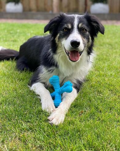 Nylabone Comfort Hold X-Bone Power Chew Toy for Dogs, Dog Toys for Aggressive Chewers, Beef Flavor, Large - Up to 50 lbs, 1 Count in Saudi Arabia