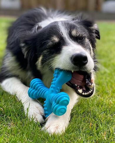 Nylabone Comfort Hold X-Bone Power Chew Toy for Dogs, Dog Toys for Aggressive Chewers, Beef Flavor, Large - Up to 50 lbs, 1 Count in Saudi Arabia