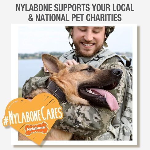 Nylabone Comfort Hold X-Bone Power Chew Toy for Dogs, Dog Toys for Aggressive Chewers, Beef Flavor, Large - Up to 50 lbs, 1 Count in Saudi Arabia