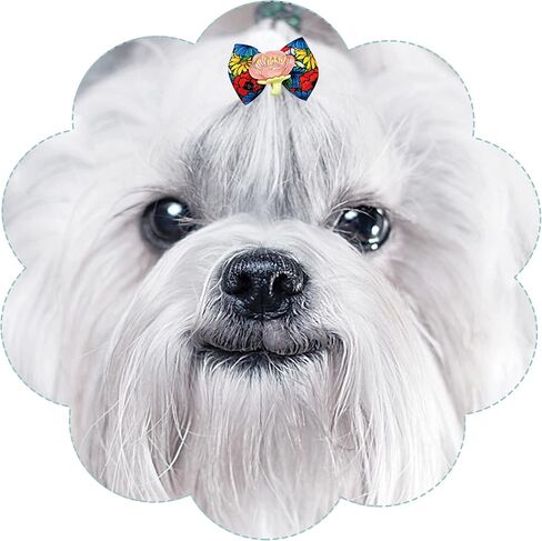 50pcs/25pairs أقواس شعر الكلب مع نمط الأزهار النابض من الفتيات للبنات Cat Rabbit Poodle Poodle Top Knot Hair Lawast in Kuwait