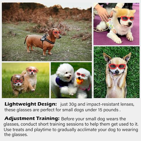 Dog Goggles Small Breed, UV/Wind/Dust/Fog Protection Pet Sunglasses with Adjustable Strap,Outdoor Dog Sunglasses for Small Dogs,Easy Wear,Soft Dog Goggles in Kuwait