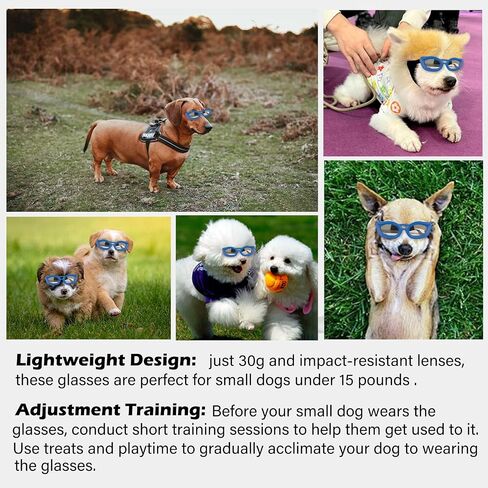 Dog Goggles Small Breed, UV/Wind/Dust/Fog Protection Pet Sunglasses with Adjustable Strap,Outdoor Dog Sunglasses for Small Dogs,Easy Wear,Soft Dog Goggles in Kuwait