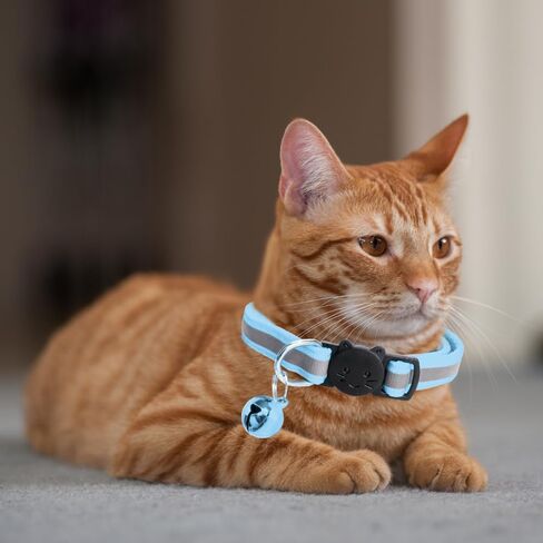 MJIYA Reflective Cat Collar with Bell, Breakaway Grid Collar with Plastic Buckle, Girl Boy Pet Kitty Collars Adjustable 7.5-12.5 Inch (Light Blue) in Kuwait