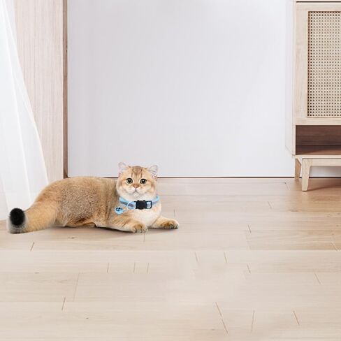 MJIYA Reflective Cat Collar with Bell, Breakaway Grid Collar with Plastic Buckle, Girl Boy Pet Kitty Collars Adjustable 7.5-12.5 Inch (Light Blue) in Kuwait