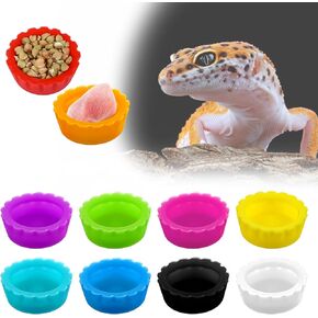 Crested Gecko Food and Water Escing Conctions ، Crested Gecko Food Dish ، 12pcs Geckoo Food Cups ، Crestedd Geckos Tank accissions for tortoise و small pet and crab