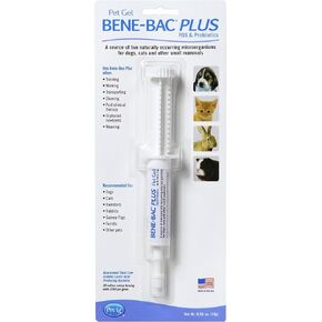 Petag Bene -Bac Plus Pet Pet - 15 G محقنة ذات ضباط - Fos & Probiotics للكلاب والقطط والثدييات الغريبة والحياة البرية