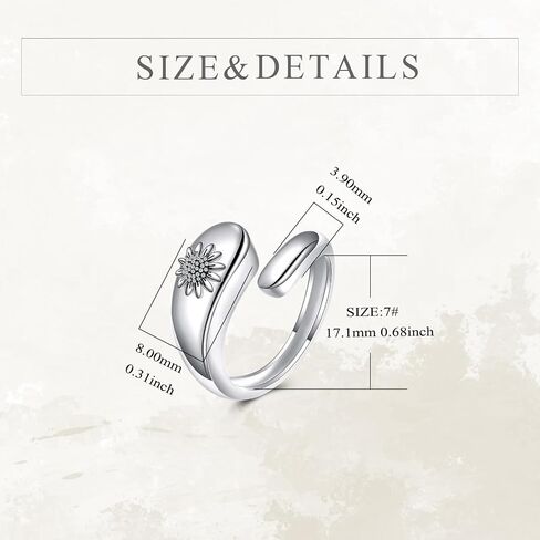 Sterling Silver Urn Ring for Ashes Pets Dog Cat Keepsake Memorial Cremation Jewelry for Women in Saudi Arabia