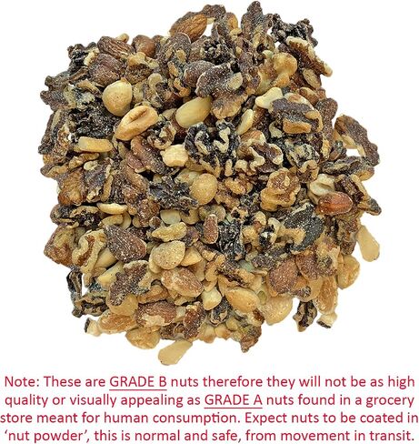 Exotic Nutrition Premium Nut Mix - Unroasted, Unsalted Walnuts, Hazelnuts, Almonds - Food & Treat for Grey Squirrels, Ground Squirrels, Flying Squirrels, Parrots & Other Small Pets (5 lb.) in Saudi Arabia
