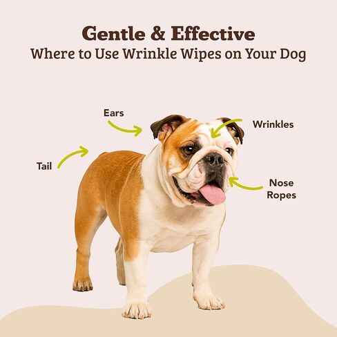 Natural Dog Company Dog Eye Wipes for Tear Stains - 100 Count in Saudi Arabia