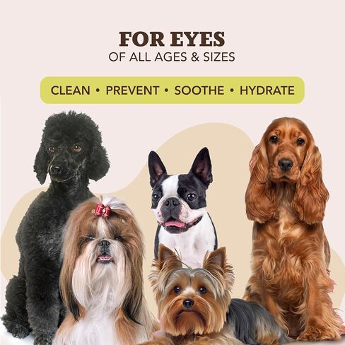 Natural Dog Company Dog Eye Wipes for Tear Stains - 100 Count in Saudi Arabia